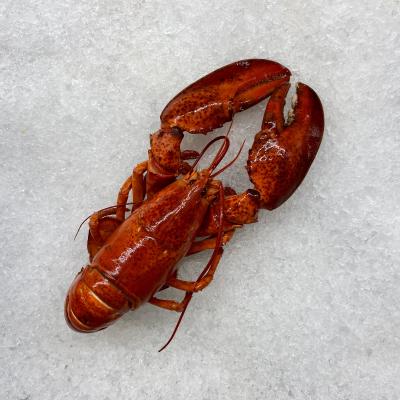 Hummer, Kanada